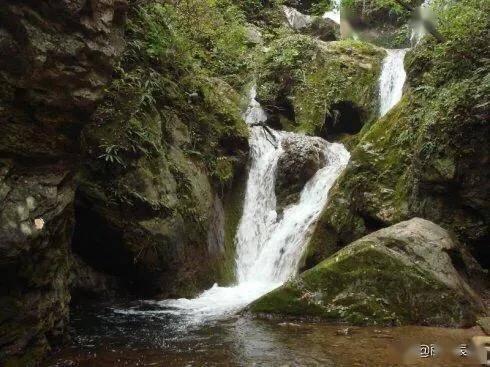 缤纷水果茶